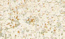 ms99-6062_sandpebbles