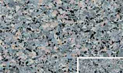 ms99-7213-greatgranite