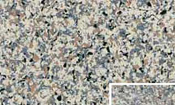 ms99-7216-limestone
